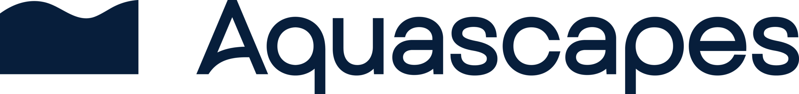 Aquascapes Pools by Design